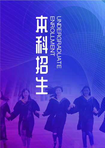 國務院互聯網+督查